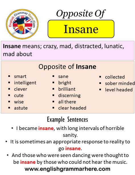 insane meaning in english.